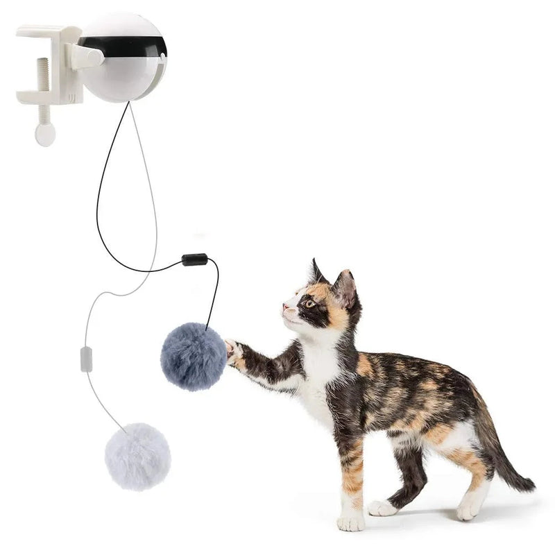 Brinquedo Interativo Para Gatos