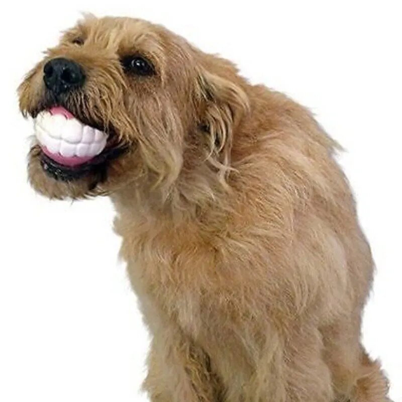 Bola Dentes De Cão