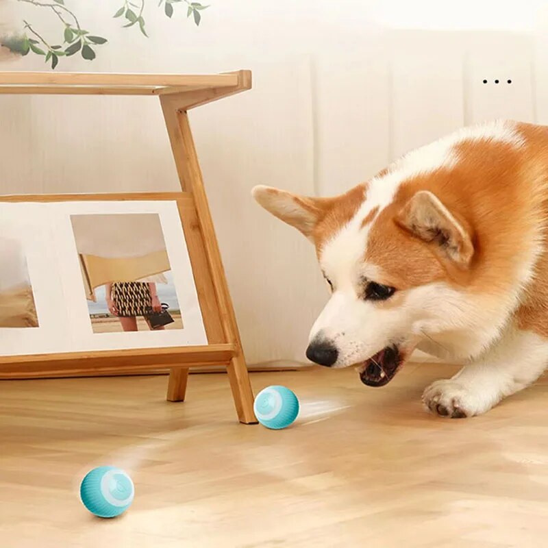 Bola Inteligente para Pets - Smart Ball™